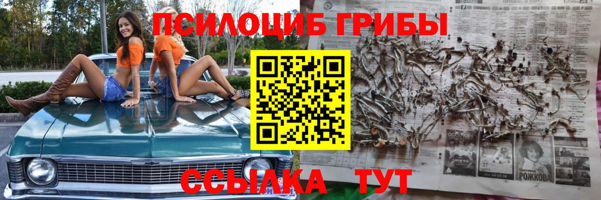 Галлюциногенные грибы Psilocybe Фролово