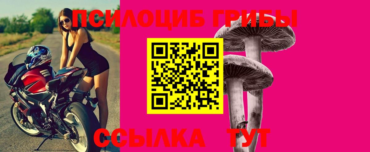 Фролово  Псилоцибиновые грибы Cubensis  Галлюциногенные грибы MAGIC MUSHROOMS  Вход с VPN 