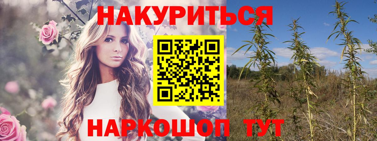 Марихуана индика Фролово